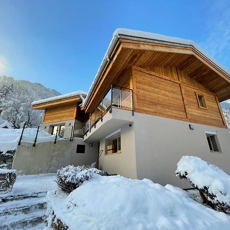 Chalet Le Point De Vue Шамони Екстериор снимка
