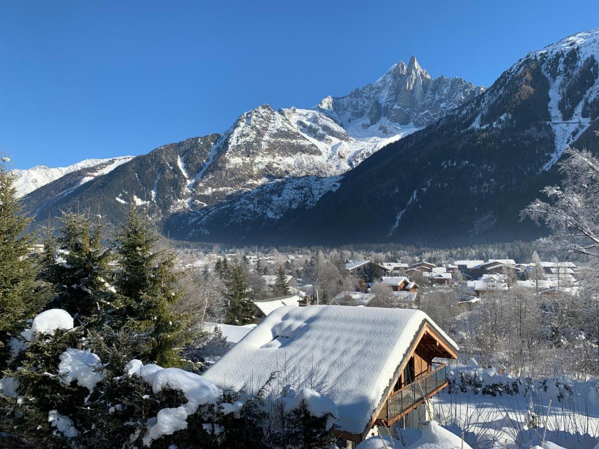 Chalet Le Point De Vue Шамони Екстериор снимка